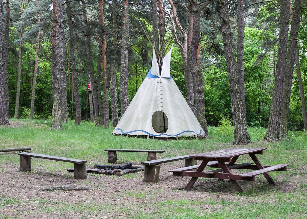 Hotel Lesna Ryba Jedlanka Stara Exteriér fotografie